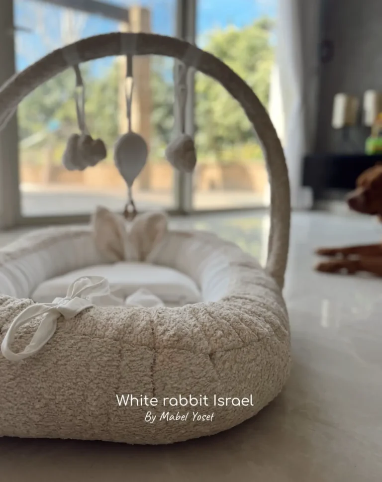 בייבינסט+ריפודית+קשת משחקים כדור פורח